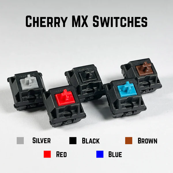 Cherry-MX-Switches_grande The Ultimate Guide: Best Mechanical Keyboards for Programming in 2025